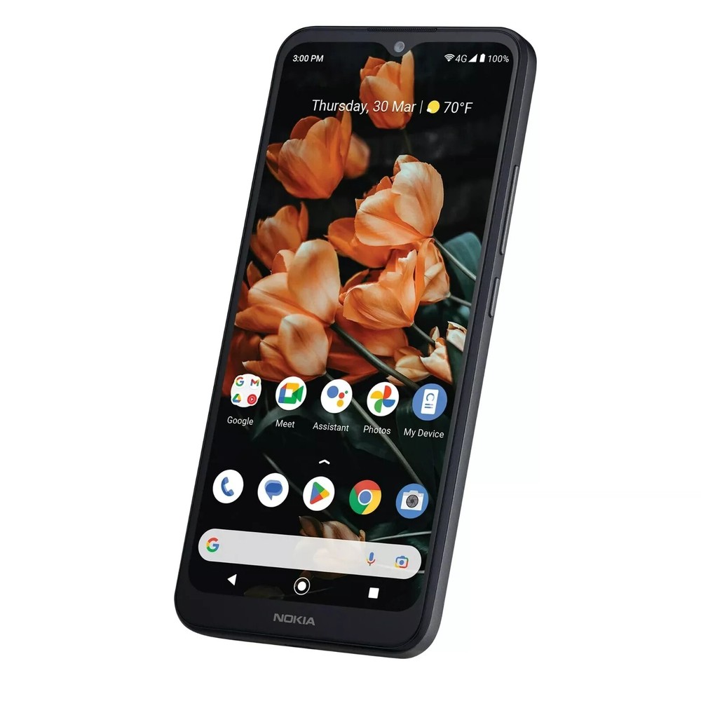 Nokia C110 N156 32GB 3GB Consumer Cellular Locked Space Gray New