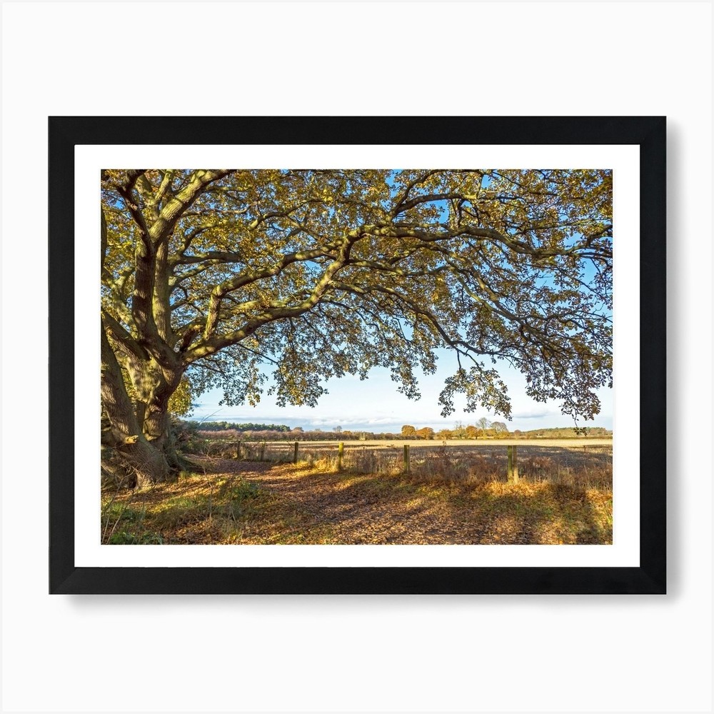 Beneath The Oak Tree Art Print Framed Wall Art Poster Canvas Print Picture