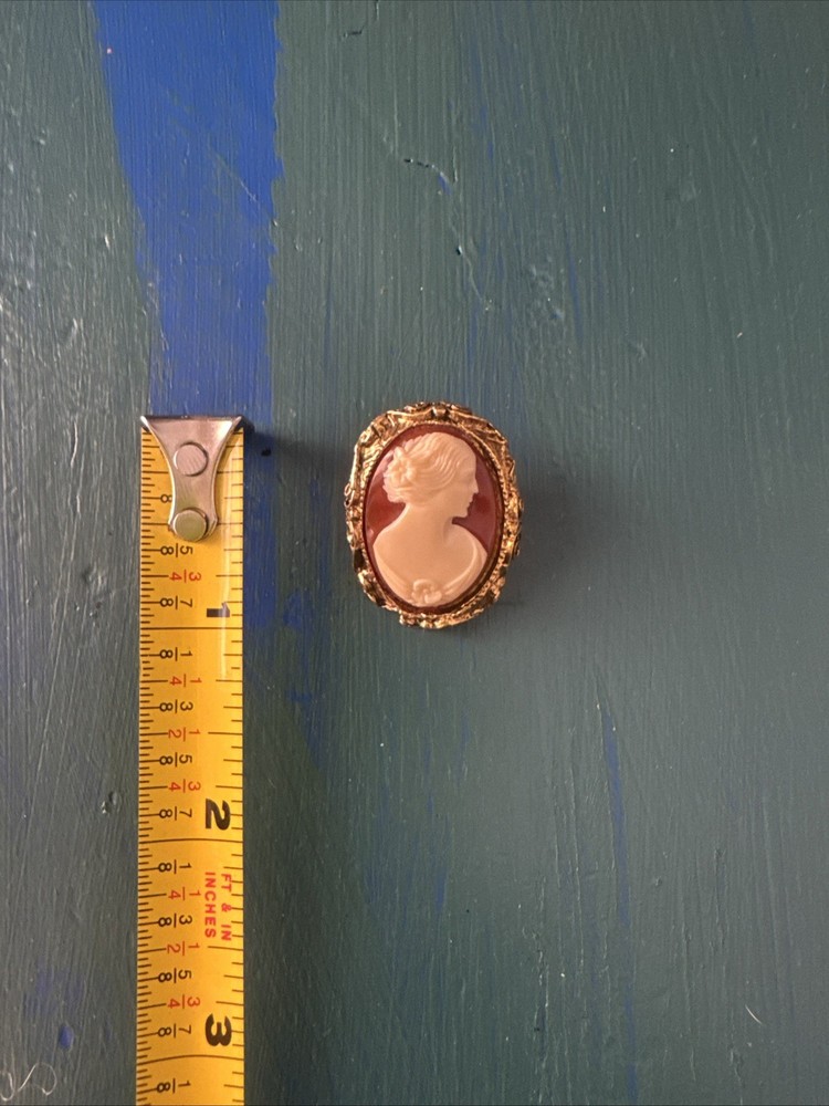 Vintage Resin Carved Cameo Ornate Gold Tone Oval Pin Brooch