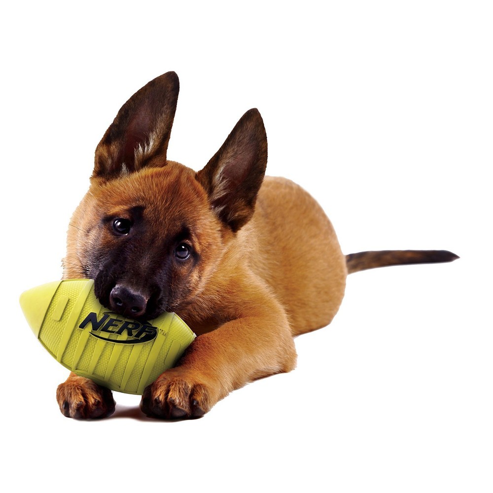 Rubber Football Dog Toy with Squeaker, Lightweight, Durable and Water Resista...