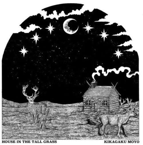Kikagaku Moyo House in the Tall Grass (Vinyl) 12