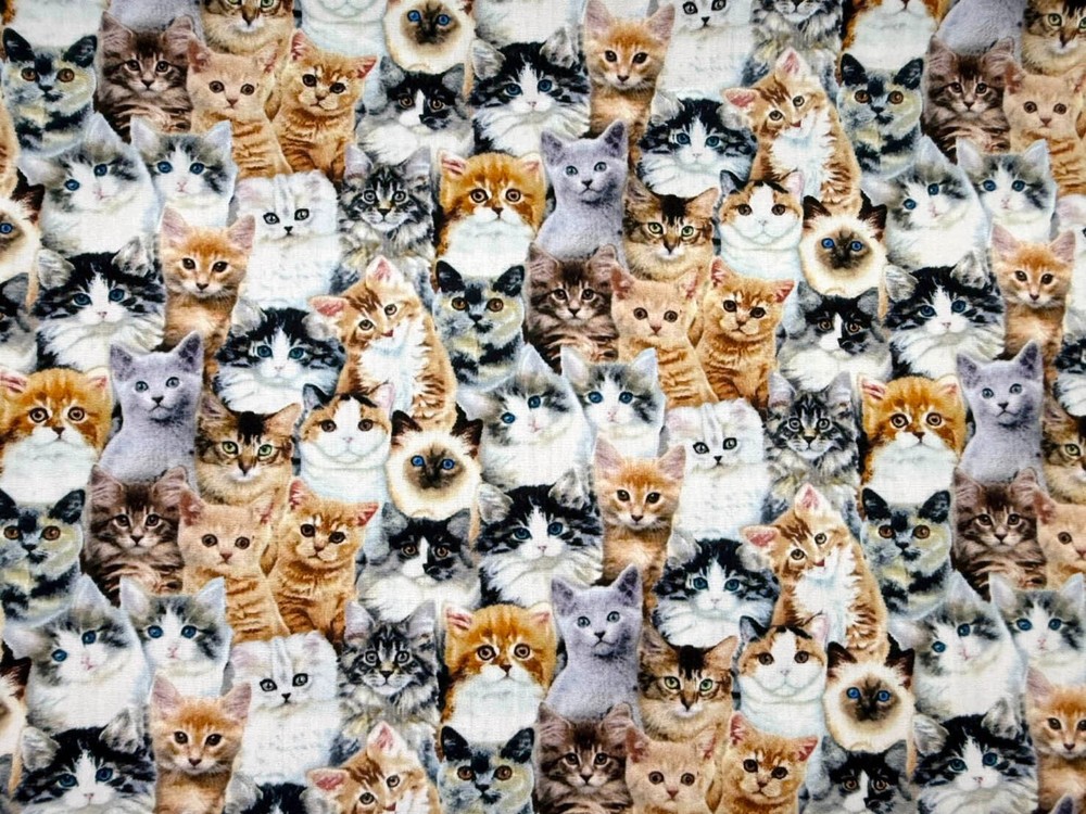 Cat Kitten Floral Garden Cotton Fabric 45in Wide for Sewing Craft Patchwork BTY