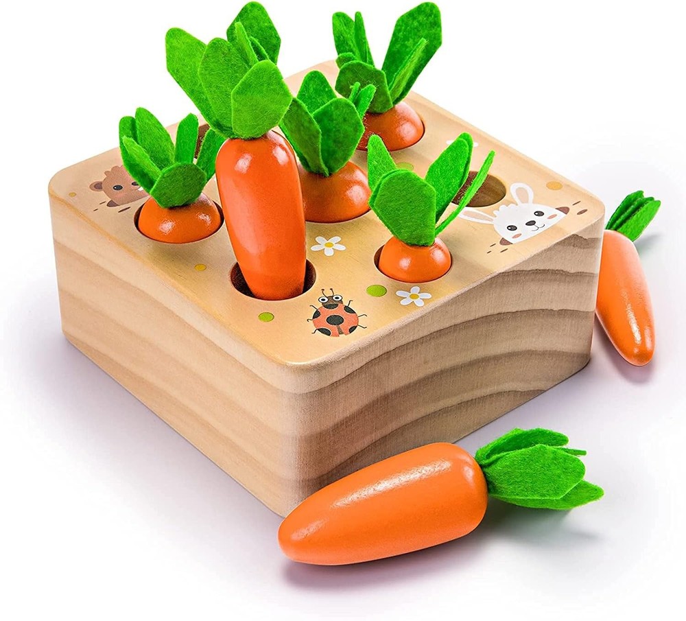 Montessori Toys for Babies 6-12 Months, Wooden Toys for 1 Year Old Boys