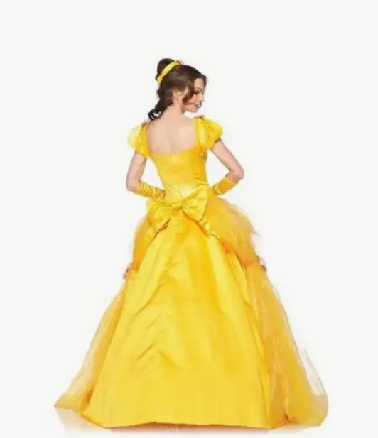 Cinderella cosplay and halloween costumes adult