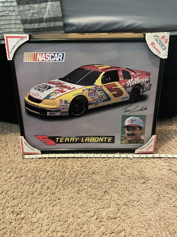 Terry Labonte 20x16 Framed NASCAR #5 Kelloggs Corn Flakes Photo