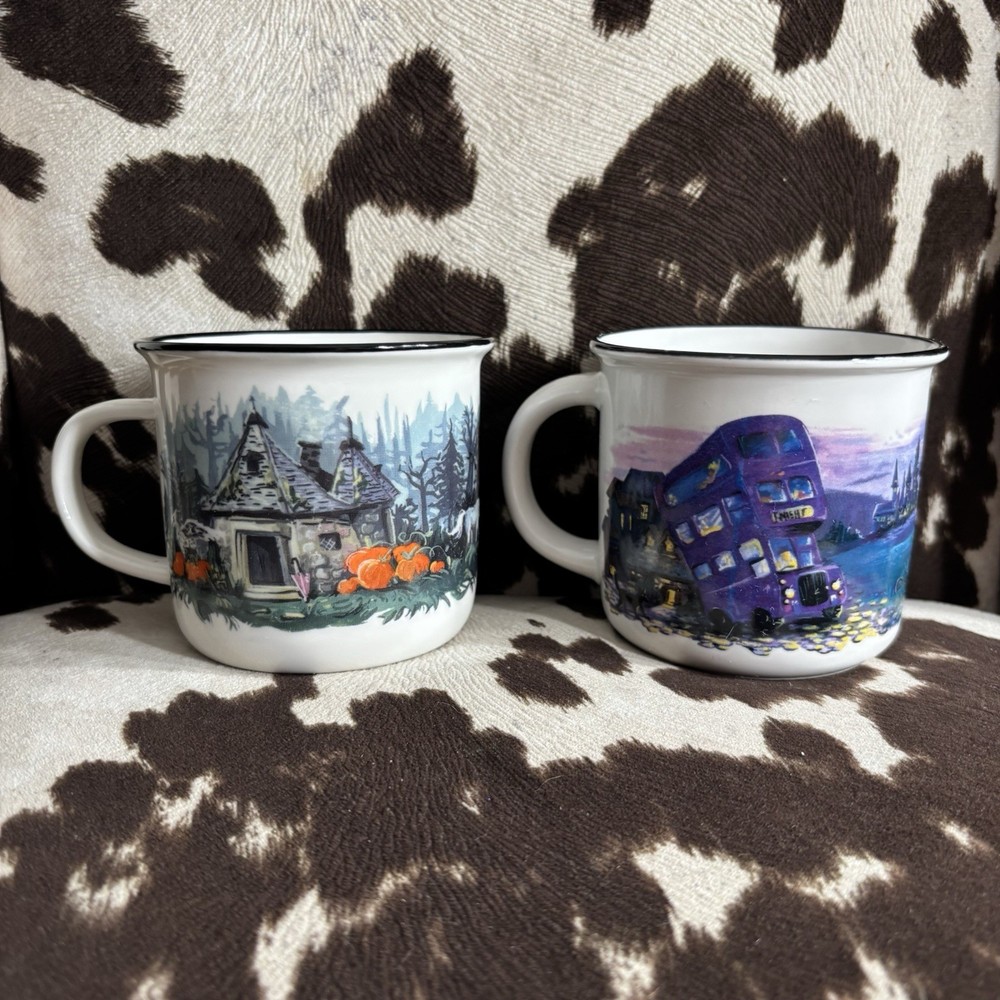 Owlcrate Exclusive Harry Potter Mugs by Cara Kozik Set of 2