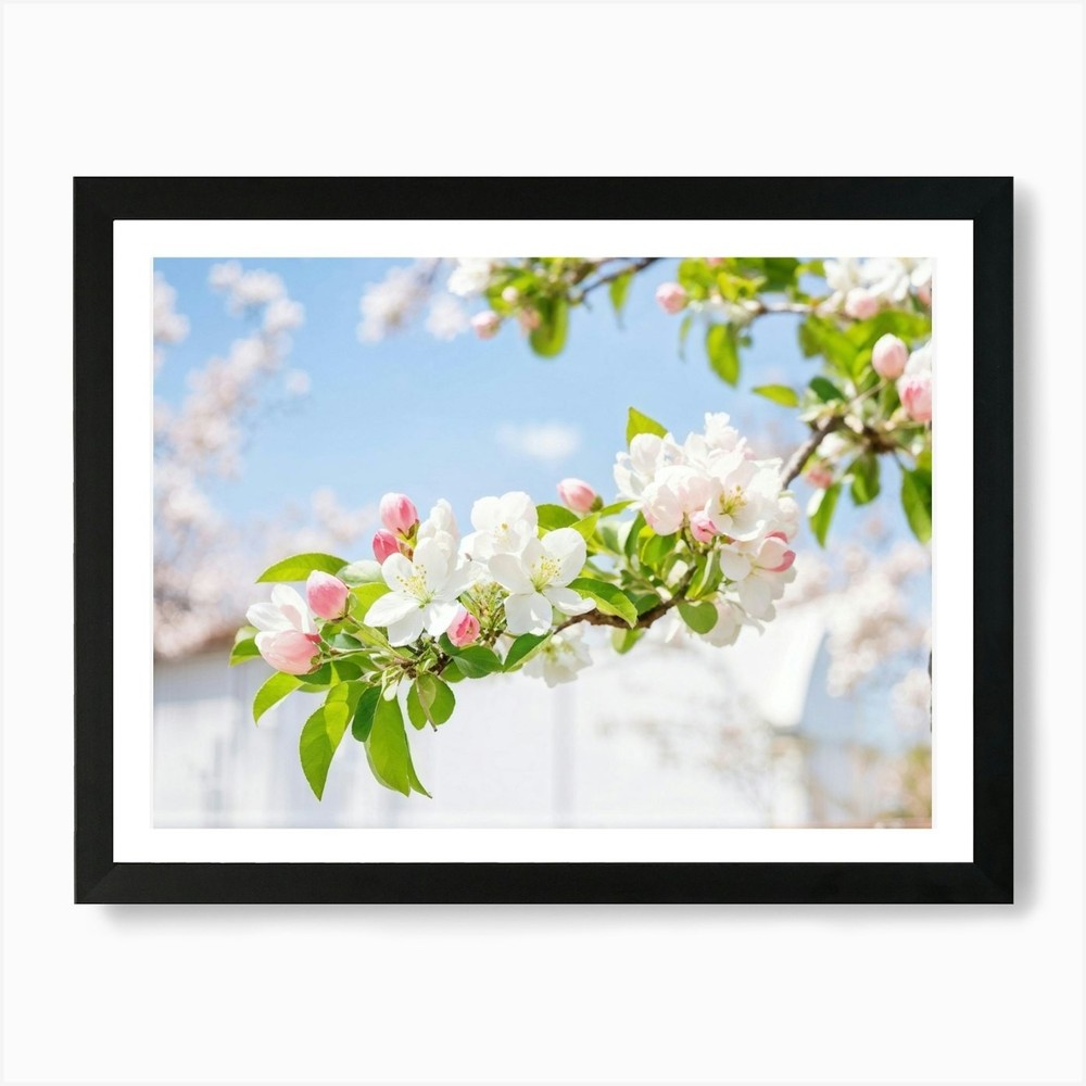 Blossoming Apple Tree Framed Art Print Canvas Wall Decor Picture