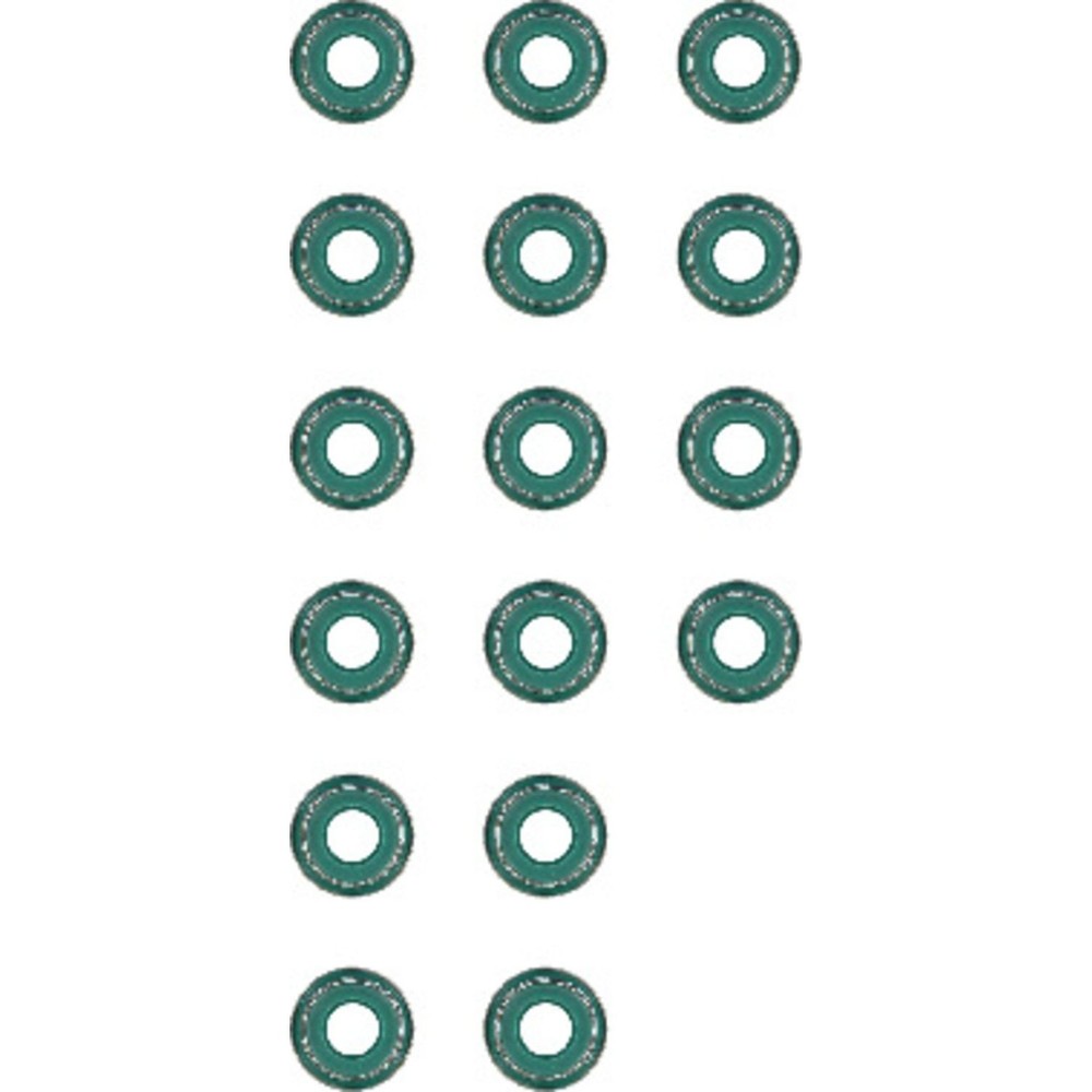 Victor Reinz 12-31306-01 Engine Valve Stem Oil Seal Set