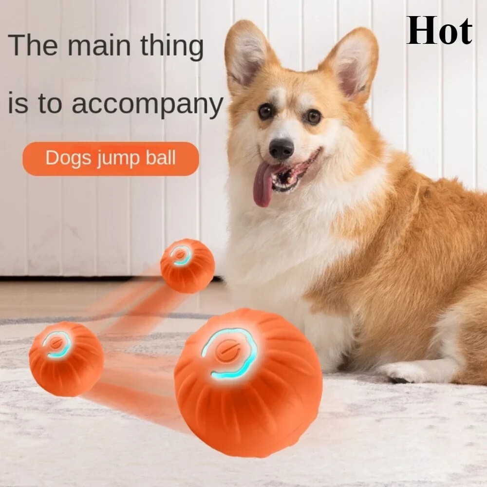 Smart Interactive USB Toy Ball for Dogs & Cats – Auto Bounce & Roll  