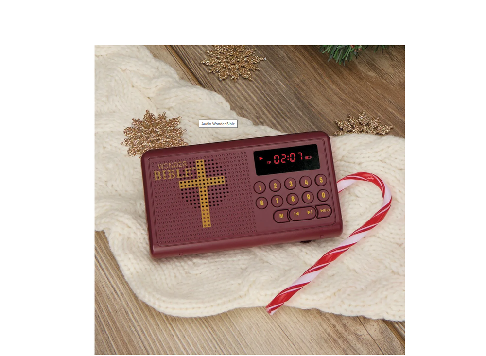 Wonder Bible Audio Player - 43140