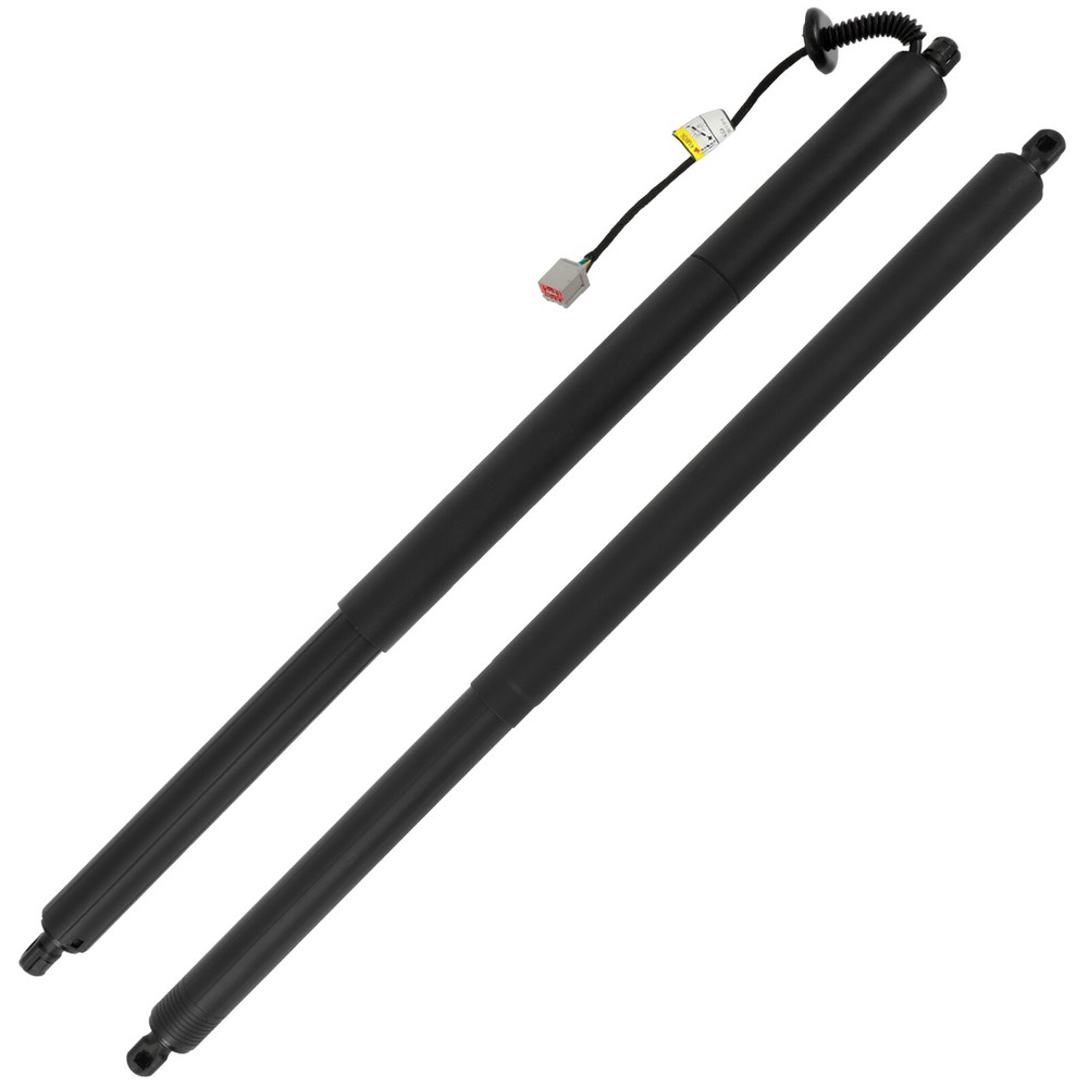 2013-2019 Ford Escape Liftgate Gas Struts – Pair Replacement