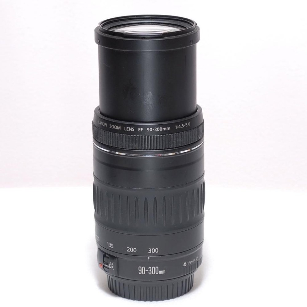 Canon EF 75-300mm f/4.5-5.6 Telephoto Zoom Lens for DSLR Cameras