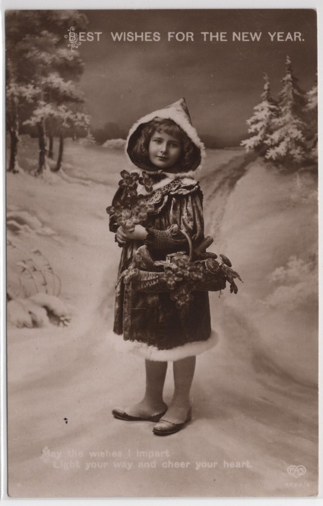 NEW YEARS WISHES GIRL with Flowers and snow Backdrop antique  Real Photo GERMANY-image