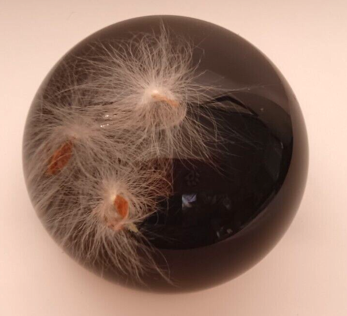 Tarax Infinity Paperweight Milkweed Seed Resin Plant Nature Handcrafted Canada