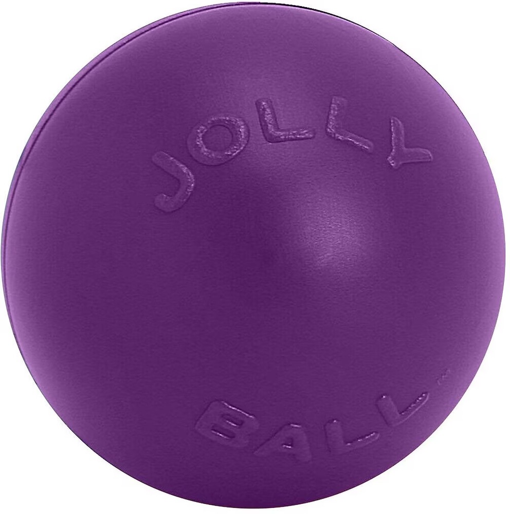 XYHLC 14-Inch Push-n-Play Interactive Dog Toy in Purple