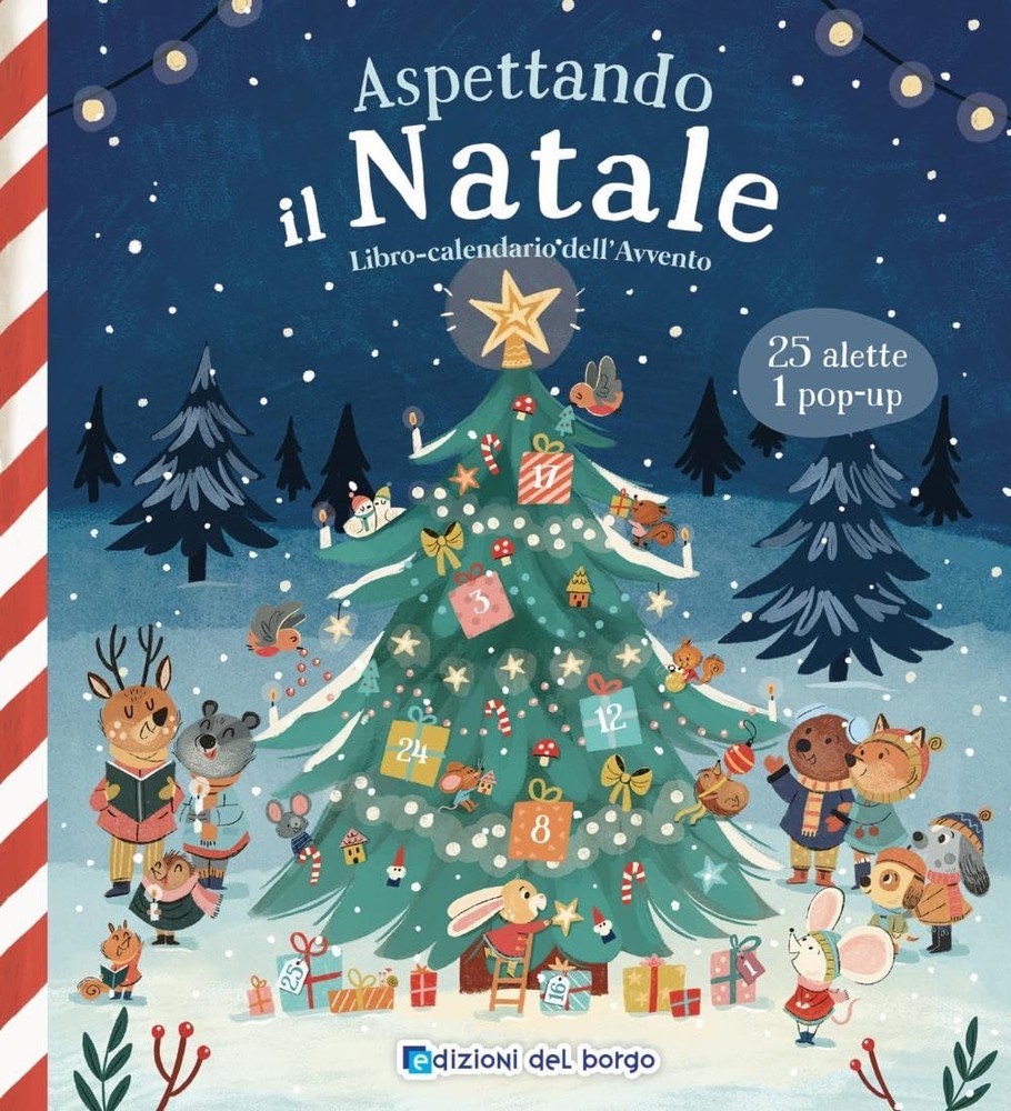 Aspettando il Natale. Ediz. a colori (Hardback)