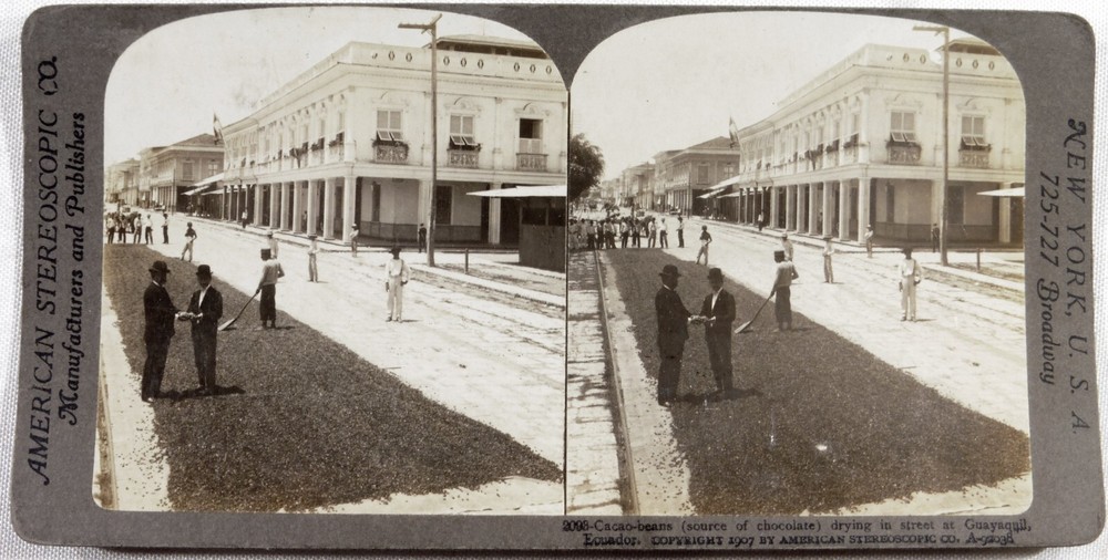 Ecuador.Ecuador.Guayaquil, drying cocoa beans.Photo American Stereo 1907.