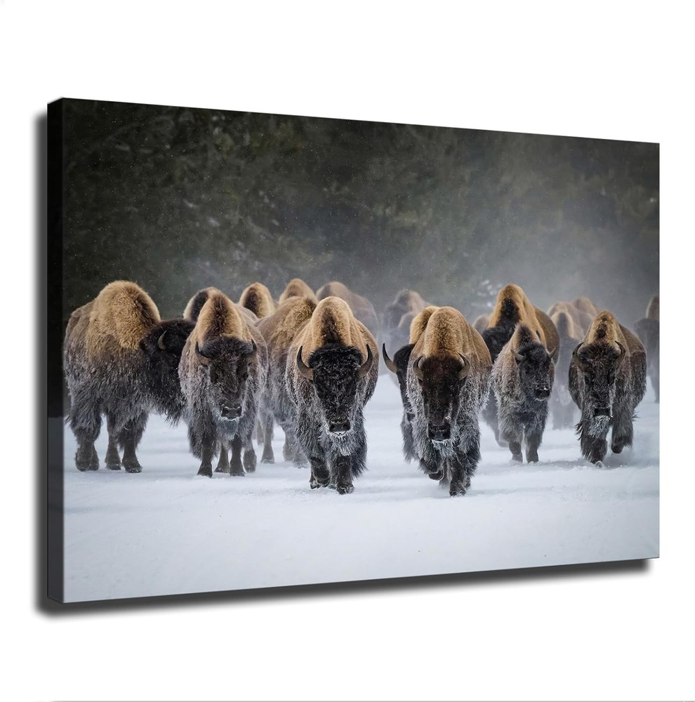 Winter Buffalo Bison in Snow Nature Wildlife Poster Canvas Painting  Wall Art