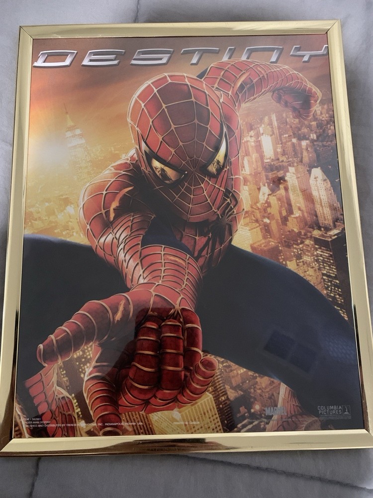 Spider-Man Destiny Poster Item# 282981