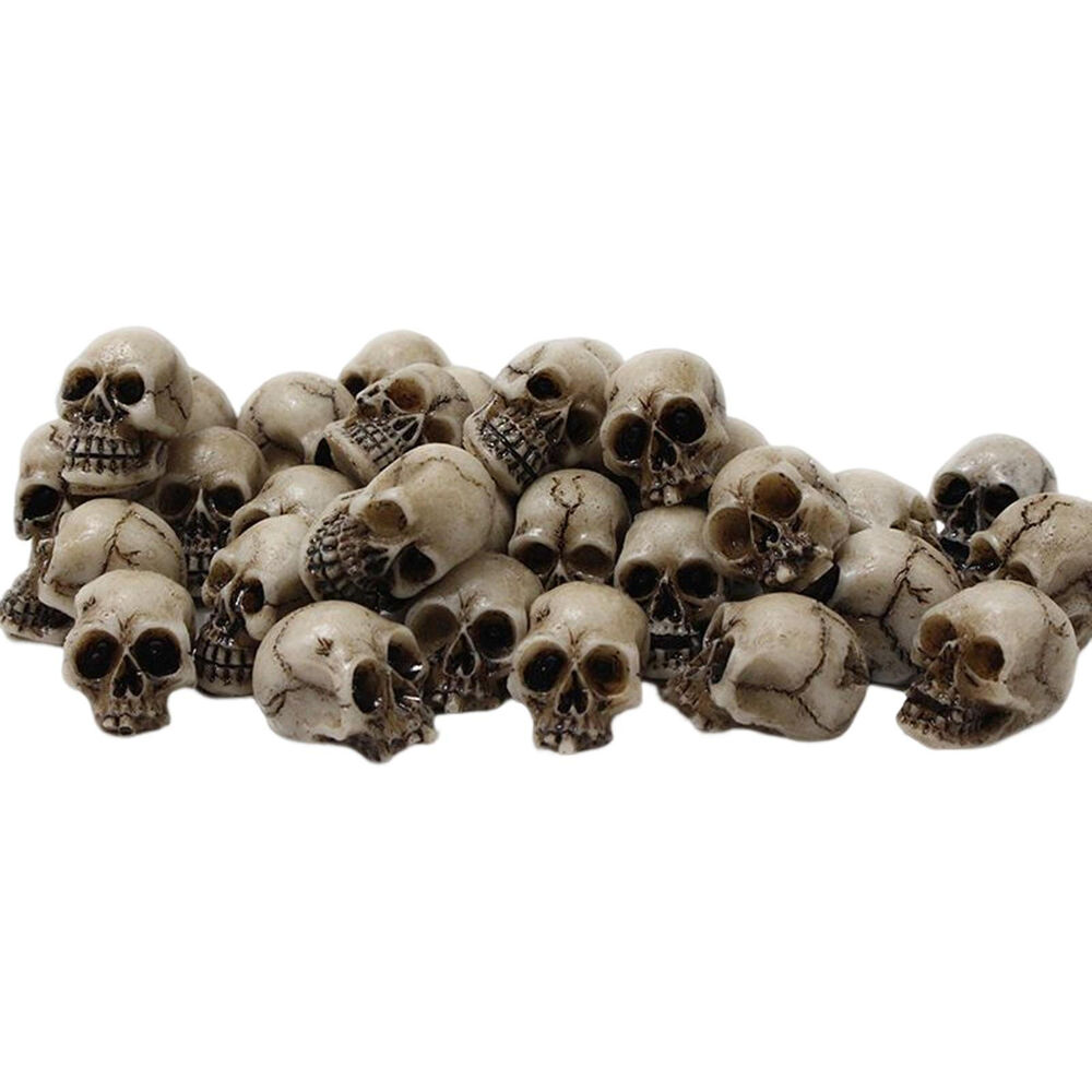 Mini Skulls Decoration 20pcs Fake Skeleton Heads Reusable Skulls Crafts
