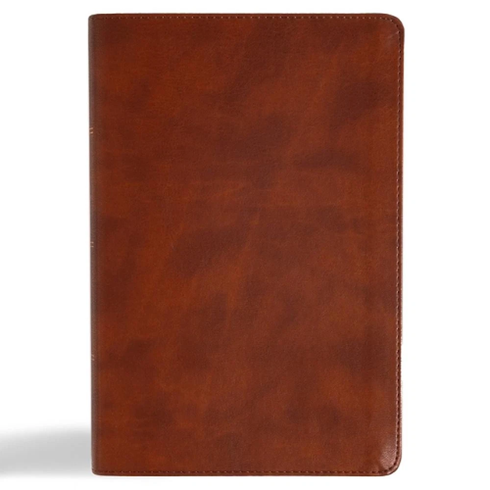 CSB Oswald Chambers Bible Leather Bound by B&H Publishing Group UK Import