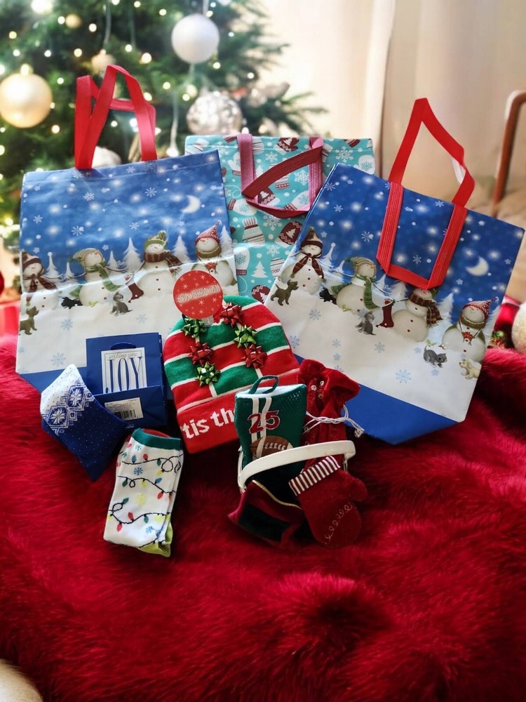 Christmas Gift Card Holders/Gift Bag Assortment Bundle-image