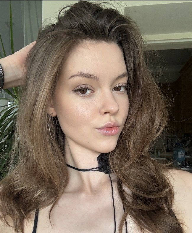 Short Bob 100% Human Hair Wigs Lace Front Wigs 13x4