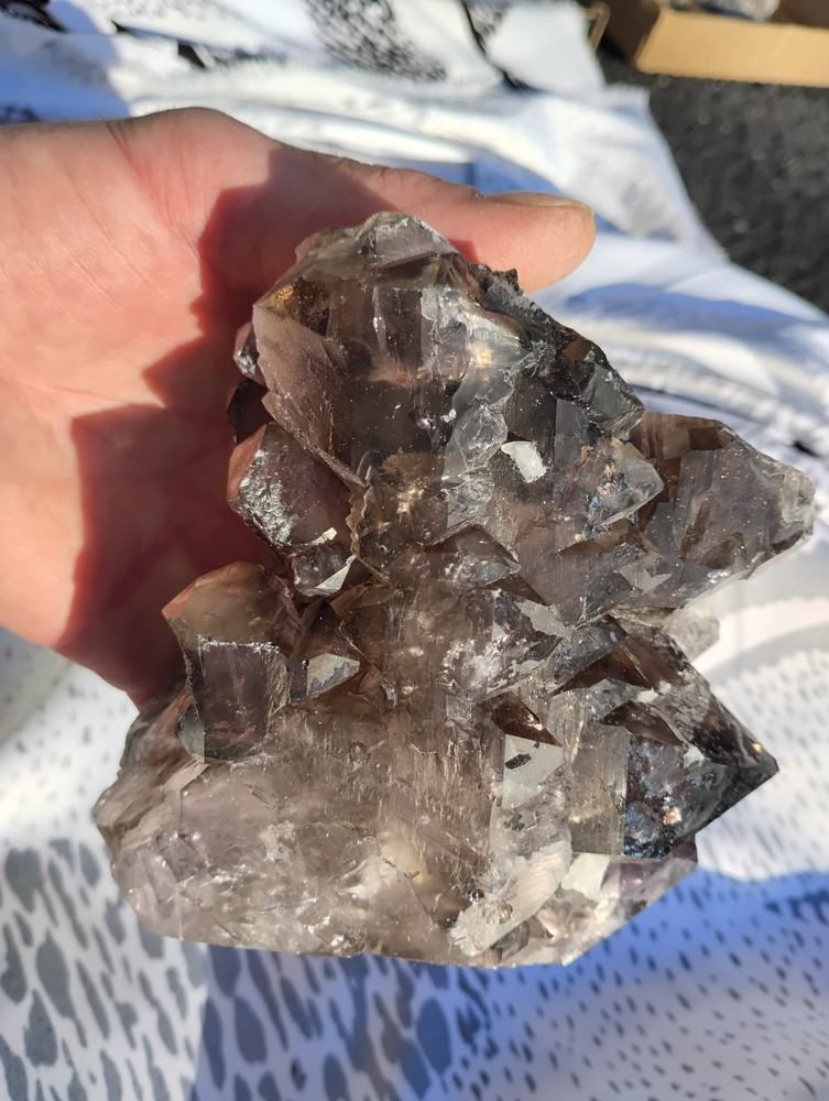 Smoky Quartz Elestial Crystal Cluster Hallelujah Junction