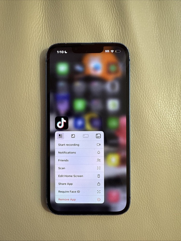 *UNLOCKED* iPhone 13 With Tiktok