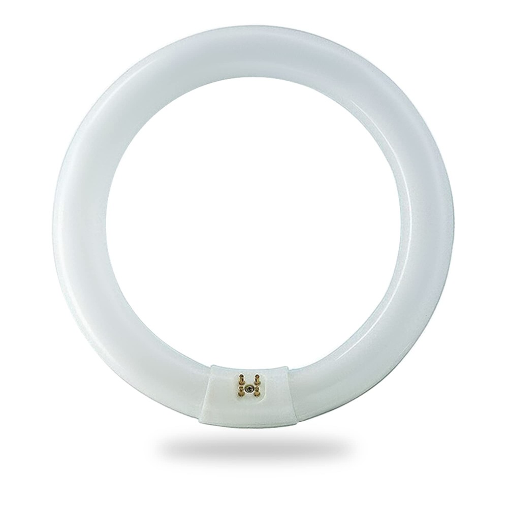 32W 12-inch T9 Fluorescent Circular Bulb in Cool White - FC12T9/CW