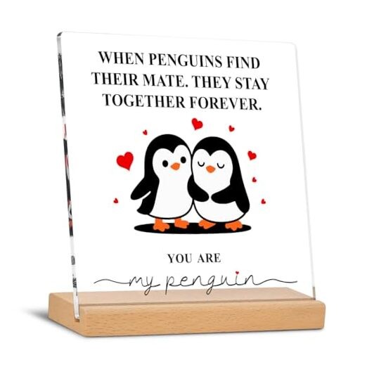 Mens Valentines Day Gifts for Him Her: Romantic Acrylic Plaque with Stand for