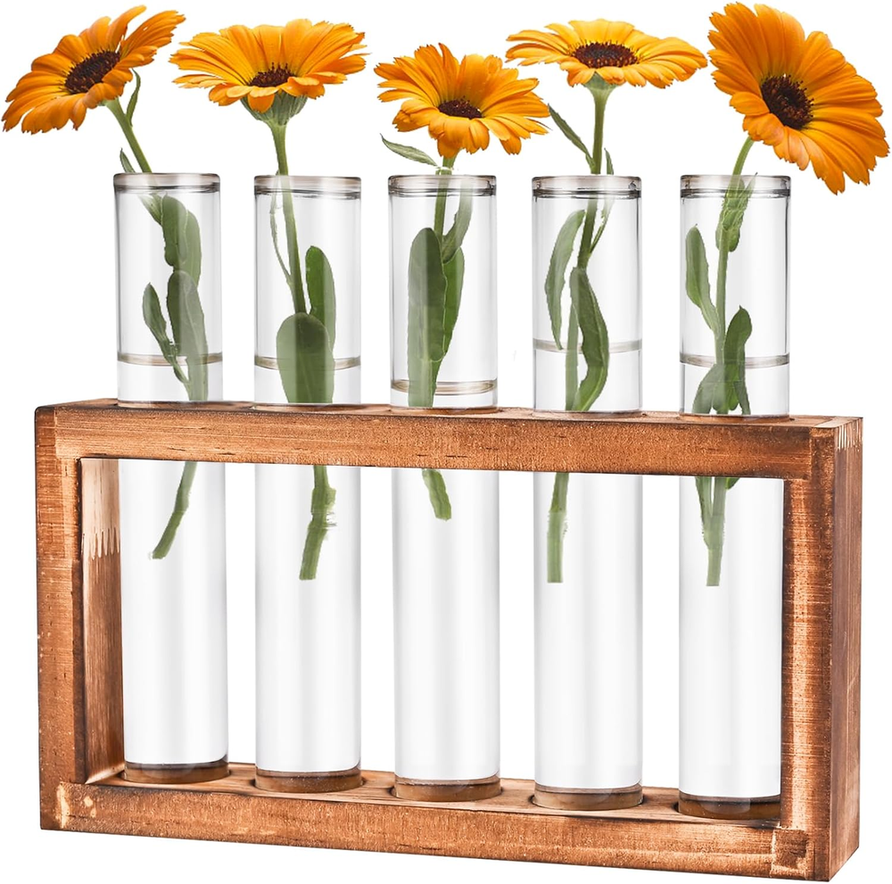 Glass Plant Propagation Station with 5 Test Tubes in Wooden Stand - Hydroponic Desktop Display