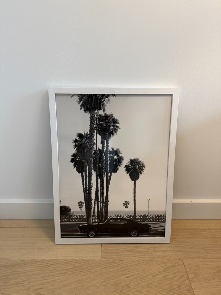 Black & White Palm Tree with Car Framed Photograph