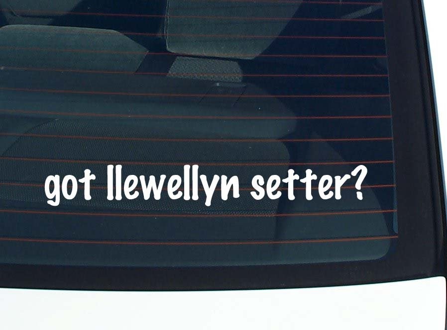 Got a Llewellyn Setter Funny Car Bumper Sticker Vinyl Decal