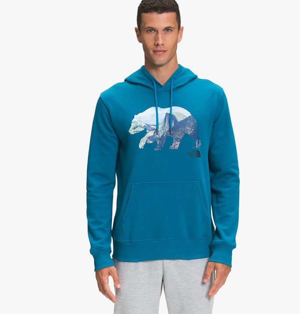 The North Face Men's TNF Bear Pullover Hoodie in Banff Blue Size L