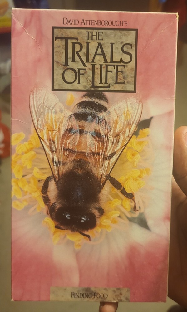 The Trials of life - Finding food (VHS 1992)