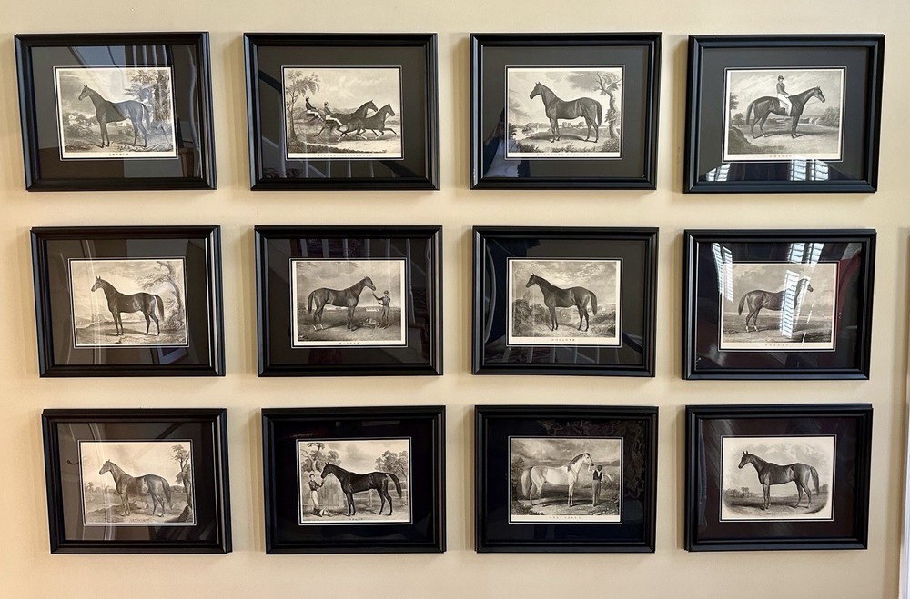 Set of 13 Framed Limited Edition Prints Of Engravings Of Famous Thoroubreds