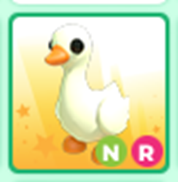 Neon Goose - Cheap & Trusted Store!!