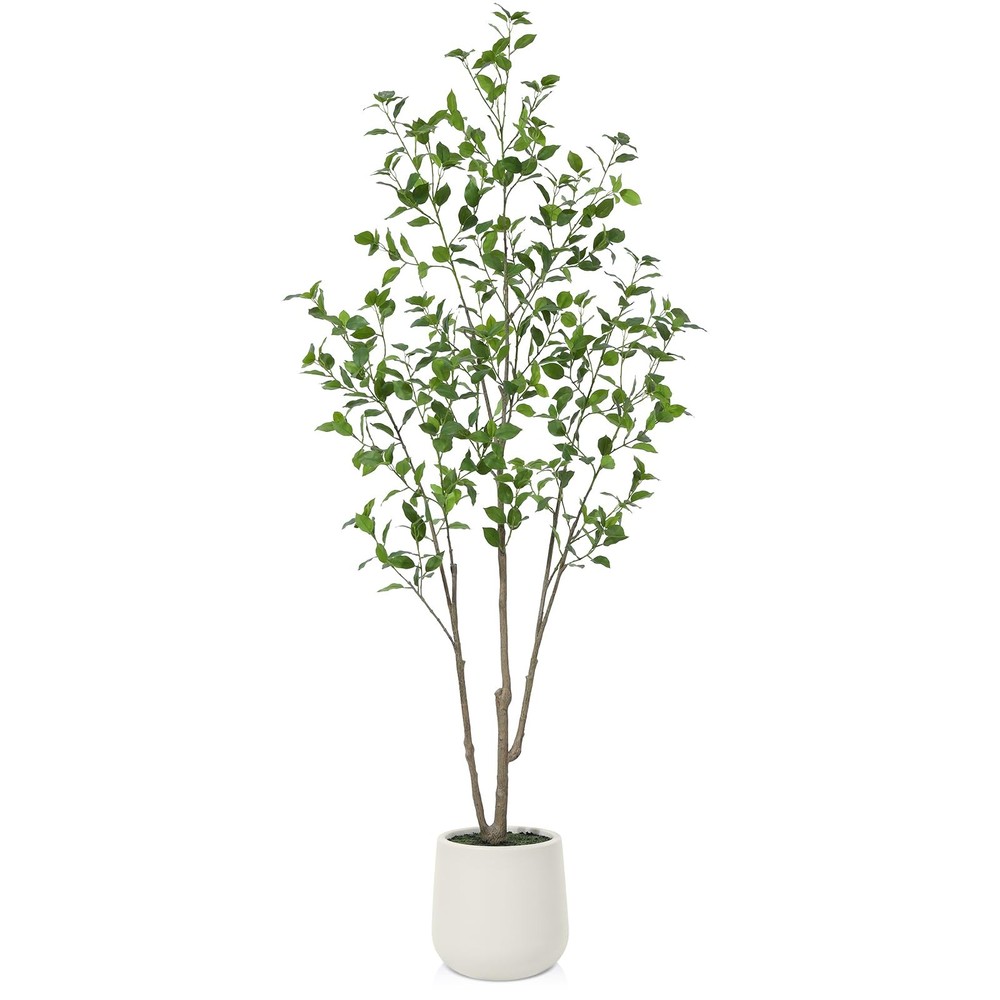 6ft Artificial Ficus Tree in White Planter for Home Decor
