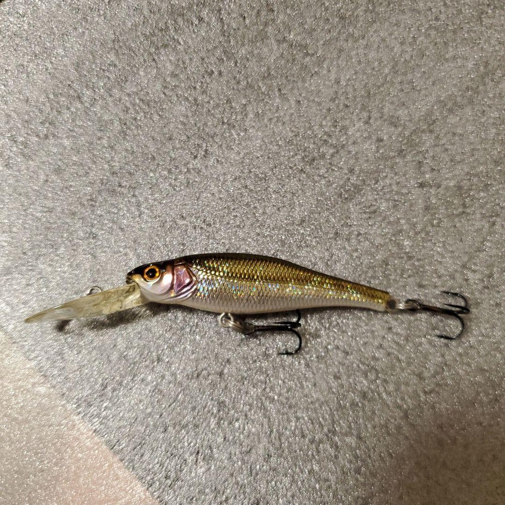 Fishing Lure Megabass Live X