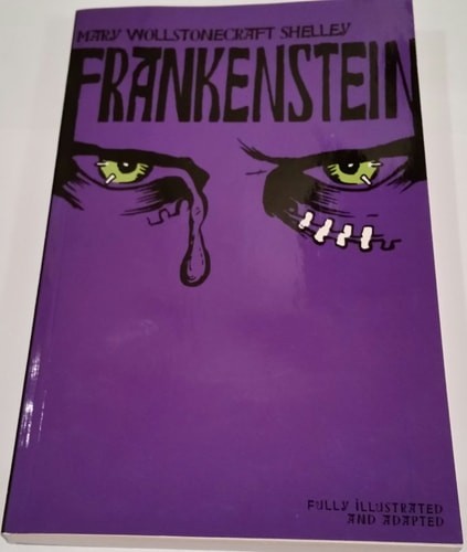 Frankenstein by , Acceptable Book