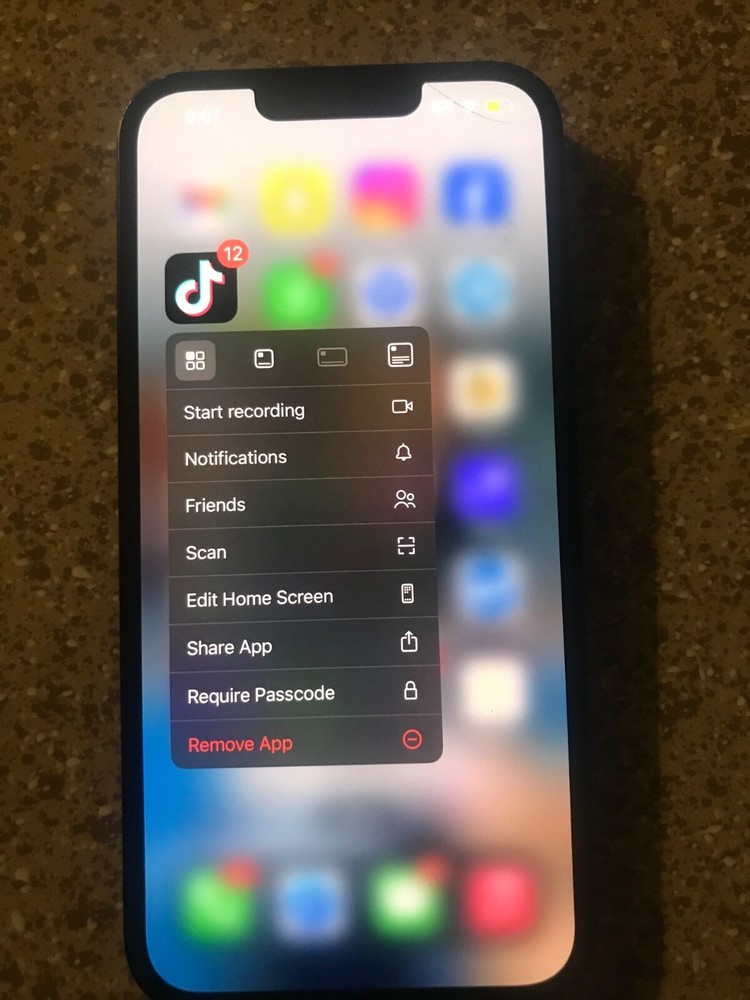 Apple iPhone 13 - 128 GB - Blue (Unlocked) W TiKTok
