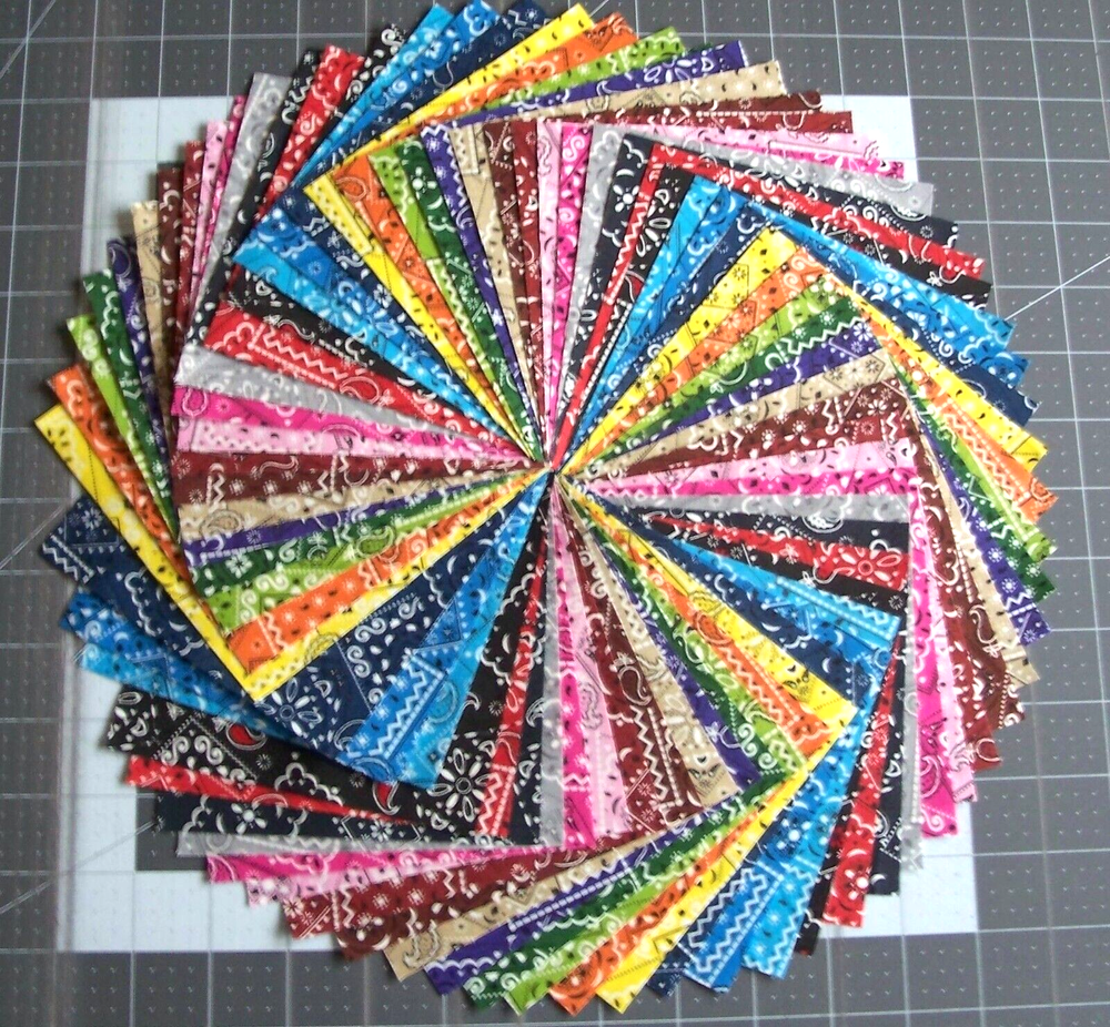 68 Blazin Bandana Paisley Fabric 5