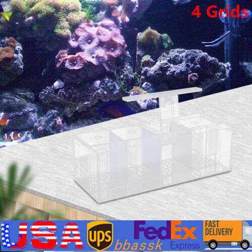 LED Light Aquarium Acrylic 4 Grids Betta Fish Tank Isolation Box with Pump US