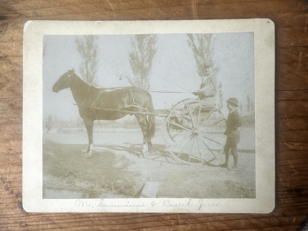 Antique 1900s sepia horse and carriage wagon cabinent card photo photograph
