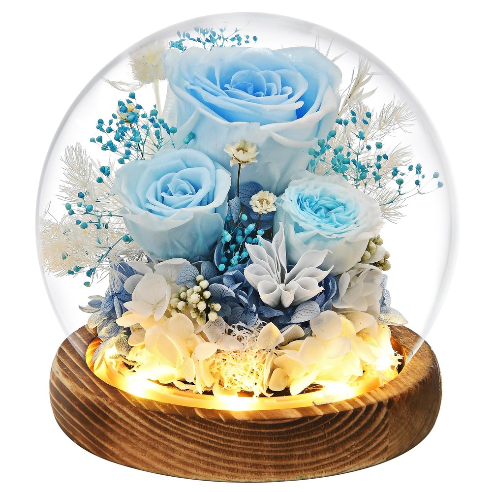 Preserved Rose in Glass Dome Gift for Women Mom Wife Grandma