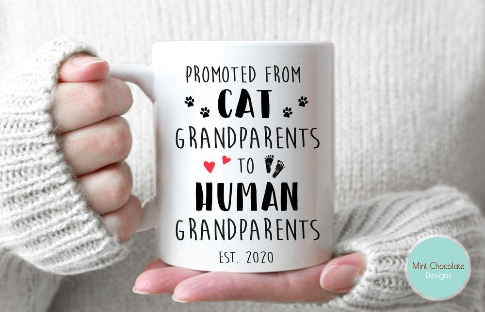 From Cat Grandparents to Human Grandparents Pregnancy Reveal