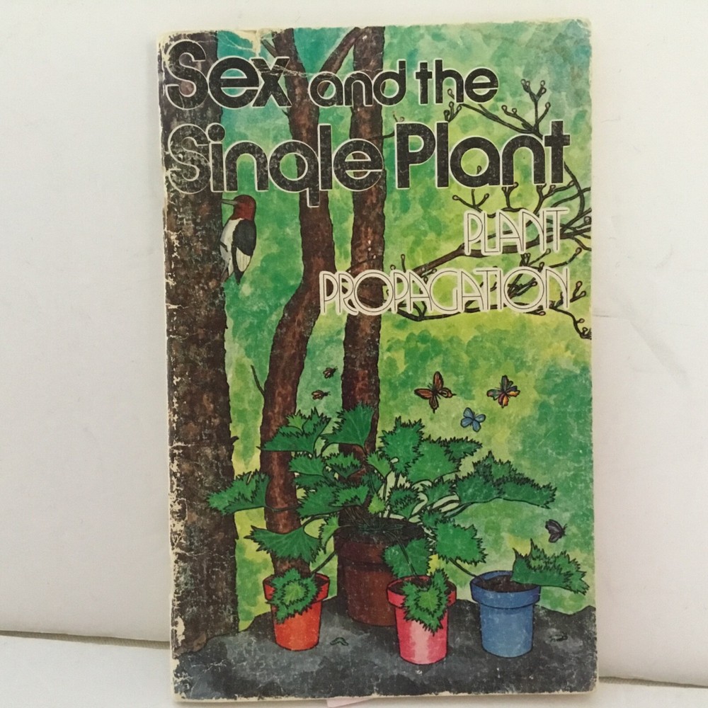Sex and the single book