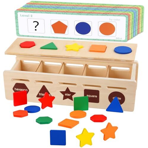 Kileubuto Wooden Color Shape Sorting Box Game Montessori ToysPreschool Learni...