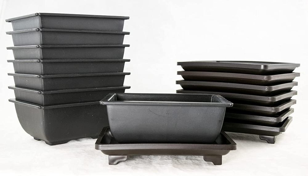 8 Sets Rectangular Plastic Shohin Bonsai Training Pot, Cactus & Succulent Plante